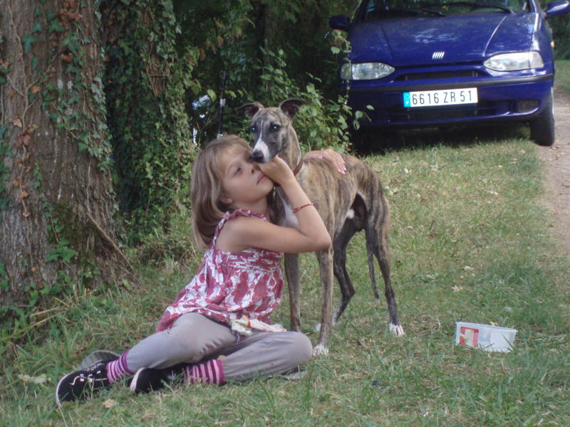 Chiots 2008 : leurs nouvelles familles.